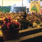 braceros 1